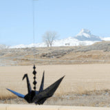 Crane--HMWF Store
